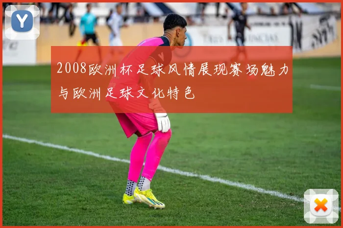2008欧洲杯足球风情展现赛场魅力与欧洲足球文化特色