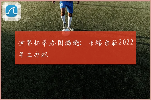 世界杯举办国揭晓:卡塔尔获2022年主办权
