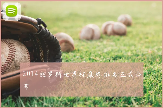 2014俄罗斯世界杯最终排名正式公布
